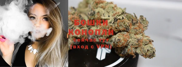 прущие грибы Нязепетровск