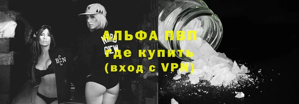 прущие грибы Нязепетровск