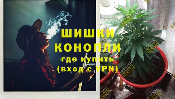 мяу мяу кристалл Няндома