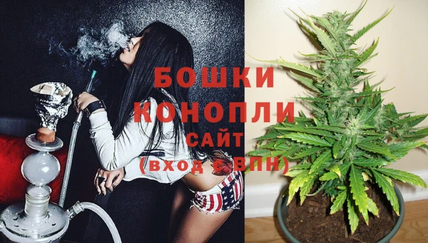 прущие грибы Нязепетровск