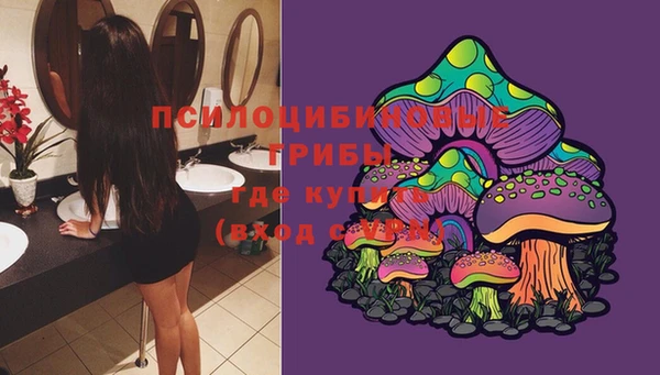 мяу мяу кристалл Няндома