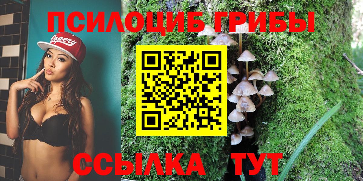 Галлюциногенные грибы Psilocybe  Вход с VPN  Галлюциногенные грибы ЛСД  Апатиты 
