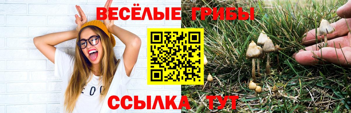 Галлюциногенные грибы ЛСД  Галлюциногенные грибы ЛСД  Апатиты  Вход с VPN 