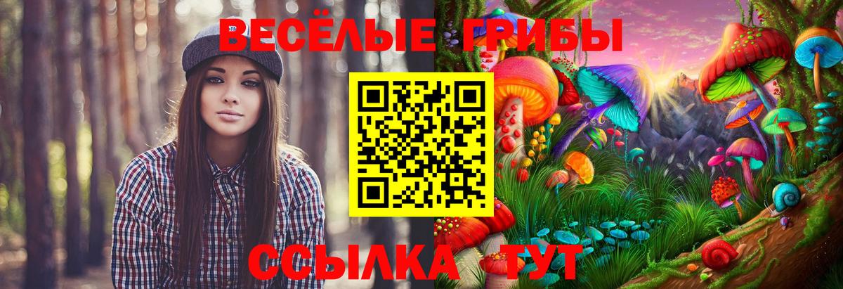 Галлюциногенные грибы Апатиты