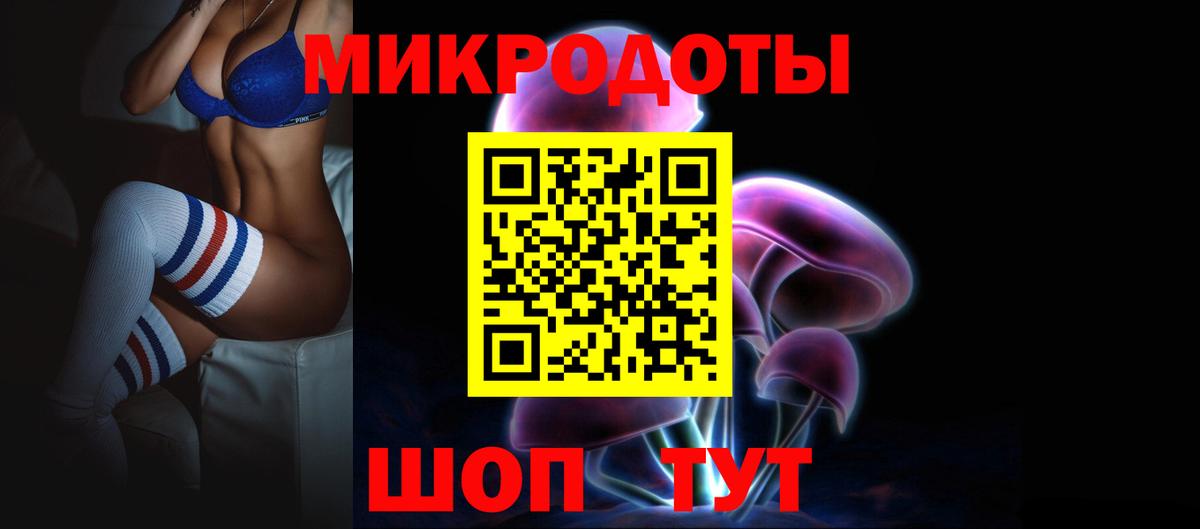 Галлюциногенные грибы Psilocybine cubensis Апатиты