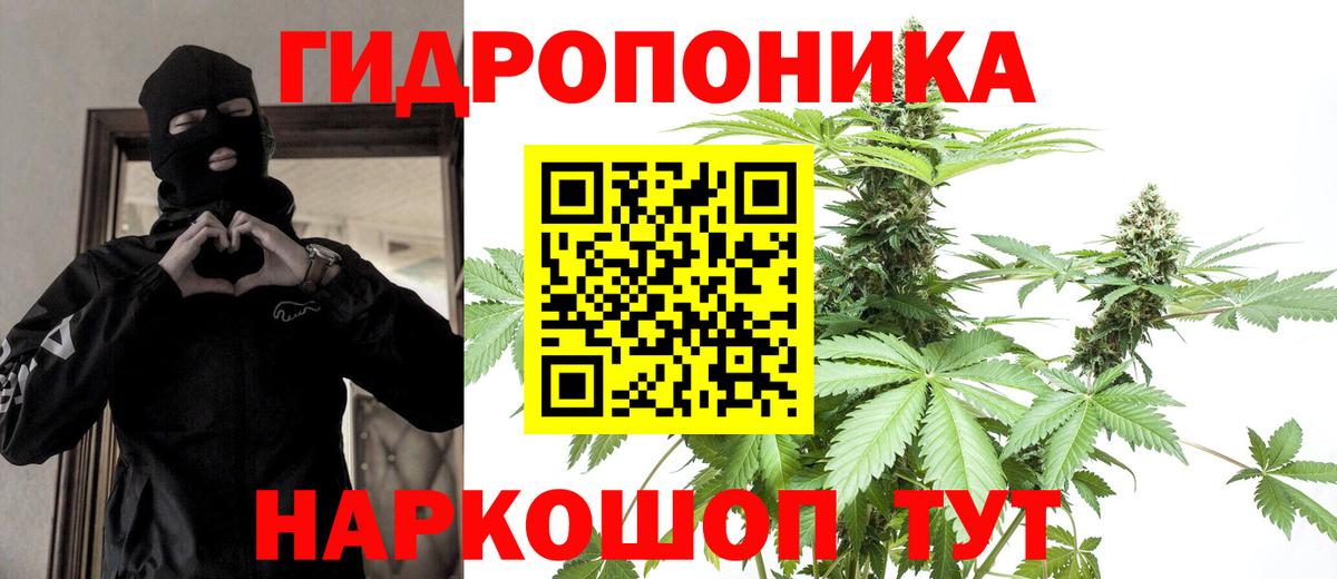 Конопля ГИДРОПОН Апатиты
